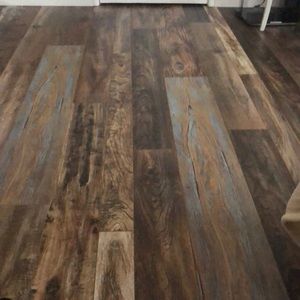 Meet your Posher, Carina